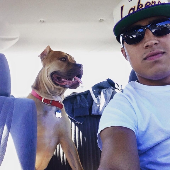 Meet your Posher, Carlos - Picture 1 of 1